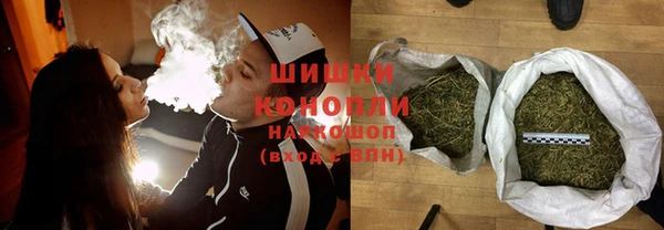 ГАЛЛЮЦИНОГЕННЫЕ ГРИБЫ Вяземский