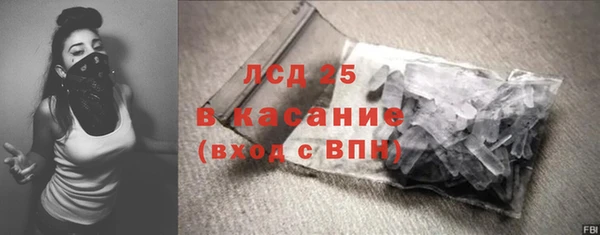 ГАЛЛЮЦИНОГЕННЫЕ ГРИБЫ Вяземский