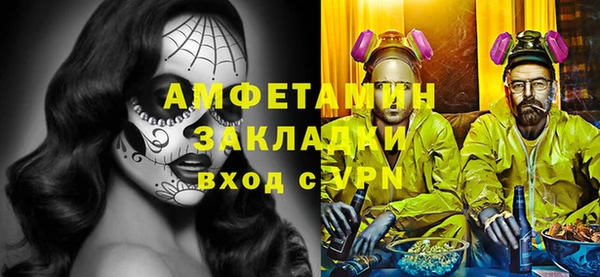 ГАЛЛЮЦИНОГЕННЫЕ ГРИБЫ Вяземский