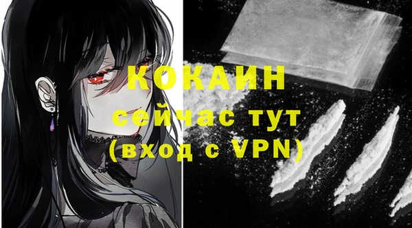 ГАЛЛЮЦИНОГЕННЫЕ ГРИБЫ Вяземский