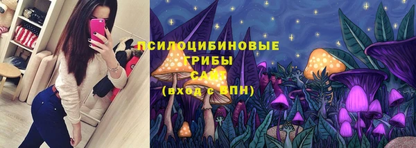 ГАЛЛЮЦИНОГЕННЫЕ ГРИБЫ Вяземский