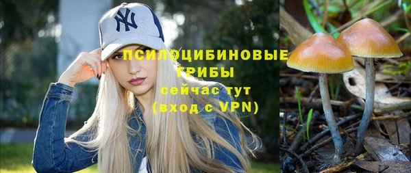 мяу мяу мука Вязники