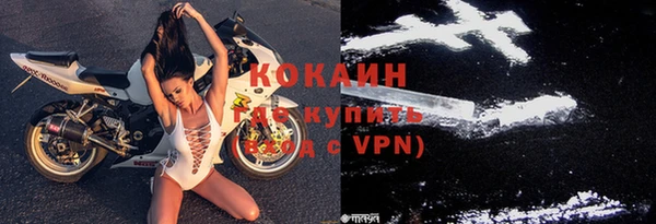 ГАЛЛЮЦИНОГЕННЫЕ ГРИБЫ Вяземский