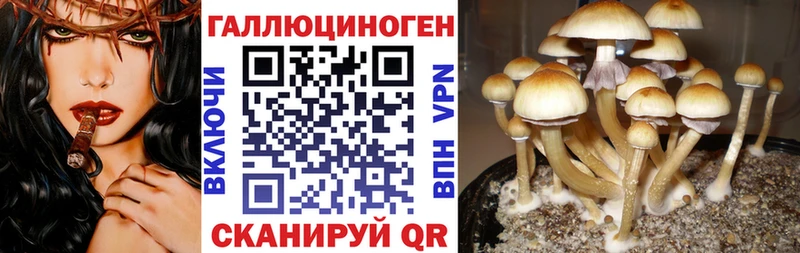 Галлюциногенные грибы ЛСД  Омск 